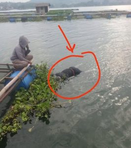 Lagi Mayat Di Waduk Darma.
