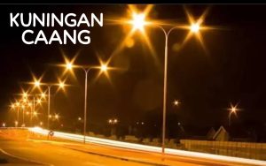 NYARIS TAK TERDENGAR LAGI SUARANYA semoga tidak hilang ditelan bumi